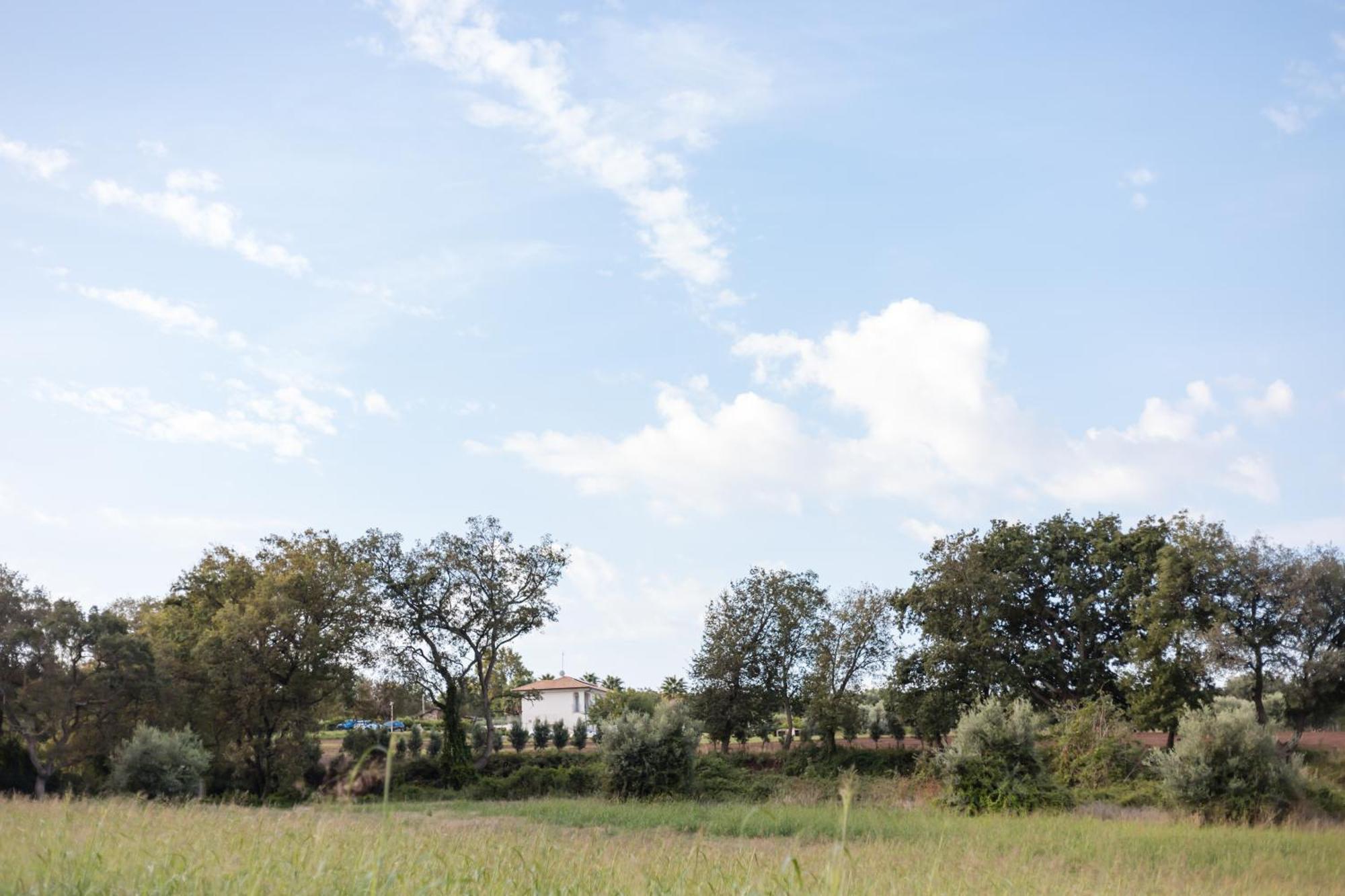 Villa Eirene Ricadi Eksteriør billede