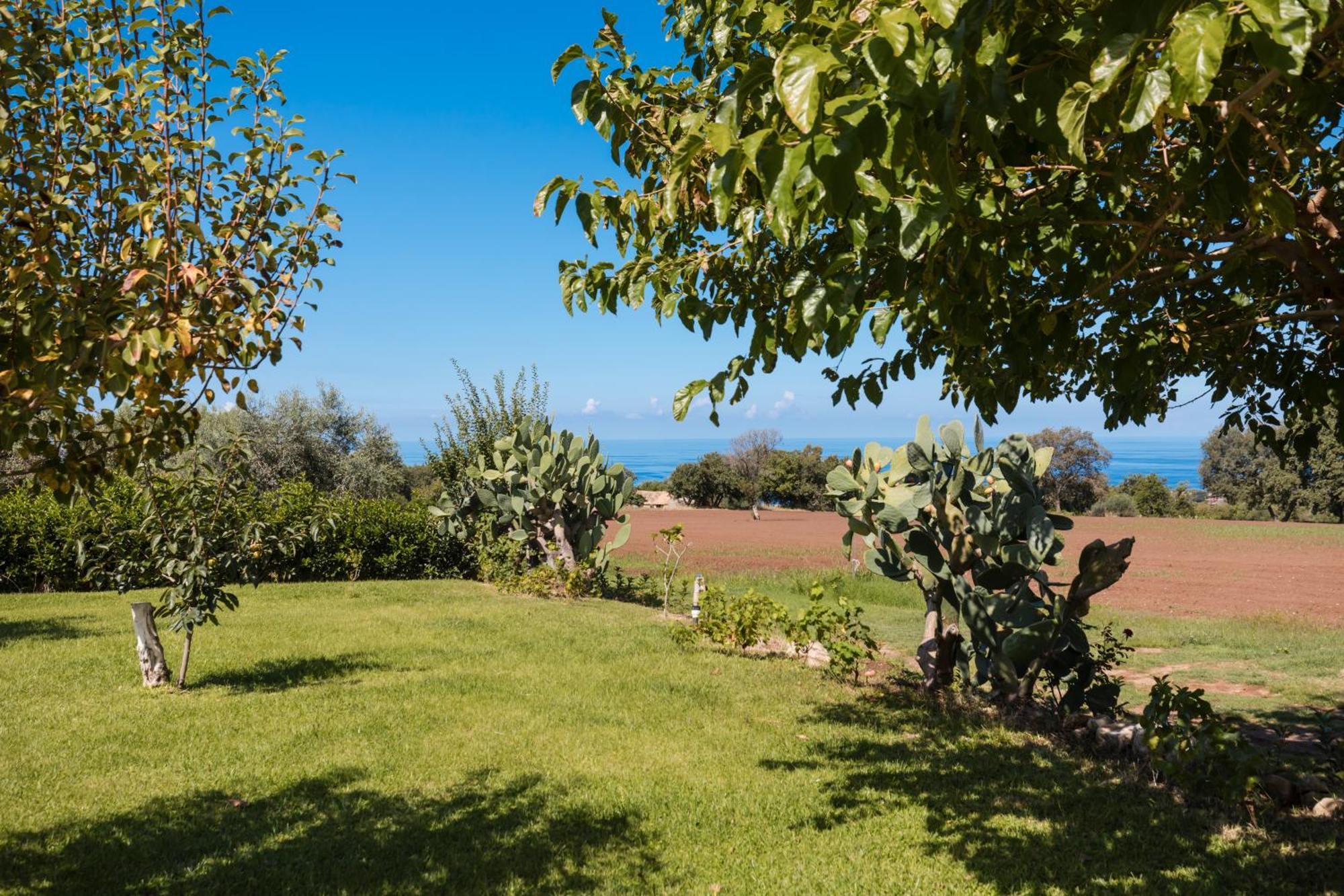 Villa Eirene Ricadi Eksteriør billede